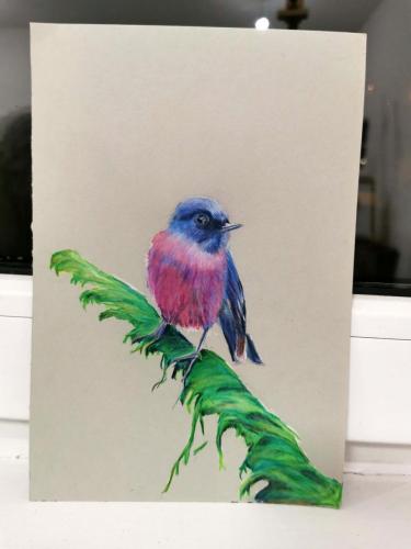 Iulia Beches pasare in creioane colorate 2