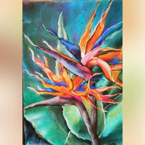 96366756 3041458562587491 7797306417701978112 n