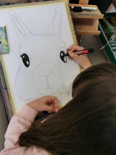 grafica 5