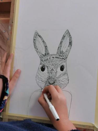 grafica 7